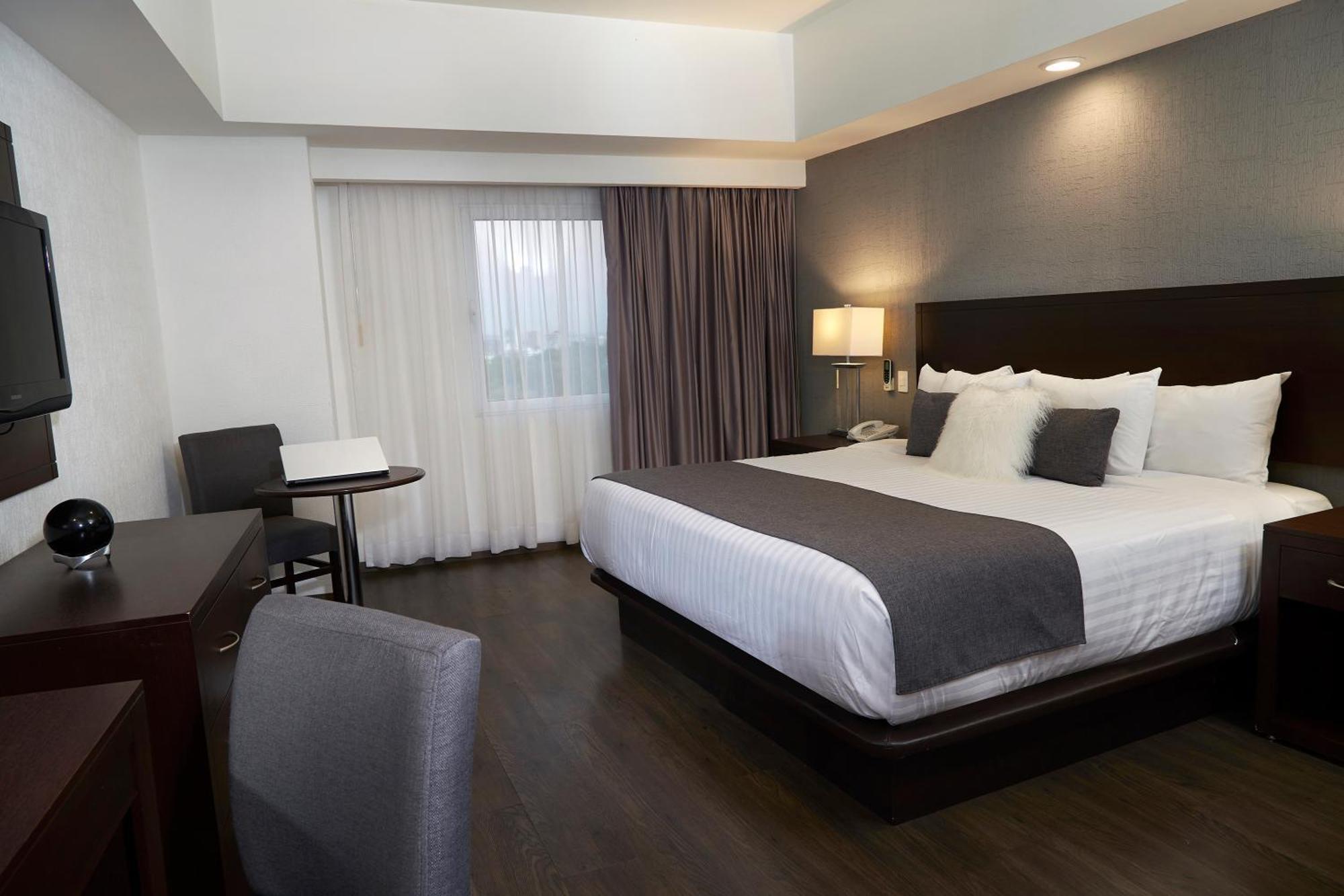 Standard King Room,1157501886:JPEG